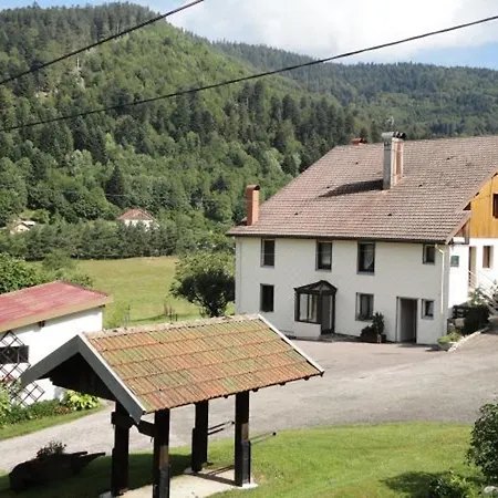 Holiday home Maison De Montagne A La Bresse, 2 Chambres, Confort Et Activites, Garage, Wifi Inclus - Fr-1-589-152 *