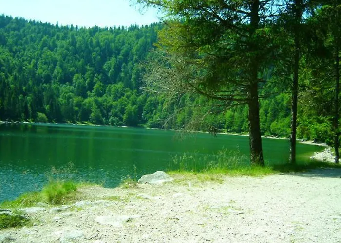 Maison De Montagne A La Bresse, 2 Chambres, Confort Et Activites, Garage, Wifi Inclus - Fr-1-589-152 Prázdninový dům *