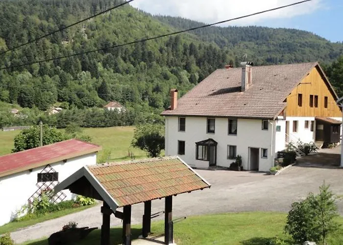 Prázdninový dům Maison De Montagne A La Bresse, 2 Chambres, Confort Et Activites, Garage, Wifi Inclus - Fr-1-589-152 *